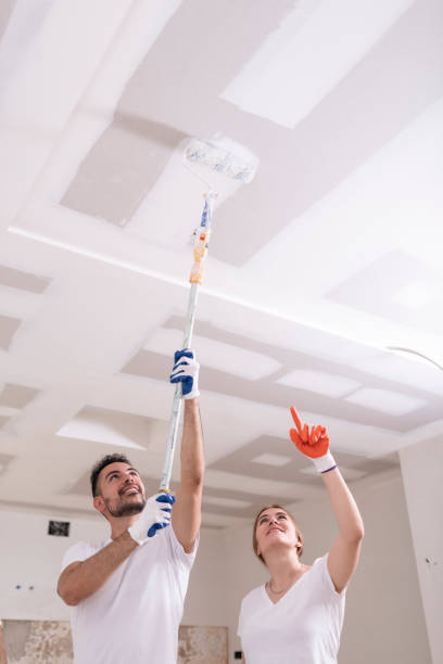 Best Ceiling Drywall Installation  in Clyde, TX